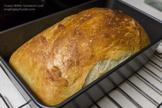 Yummy Experiment #7: Crusty White Sandwich Loaf