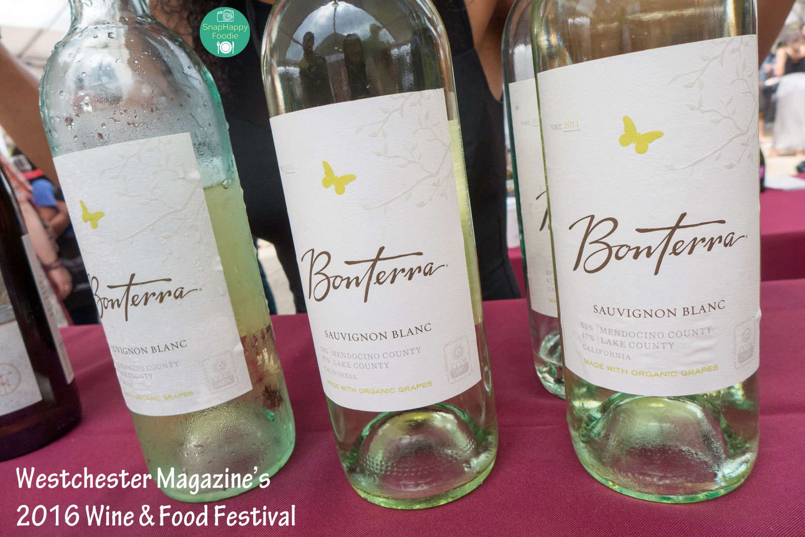 2016westchestermagwinefoodfest-17