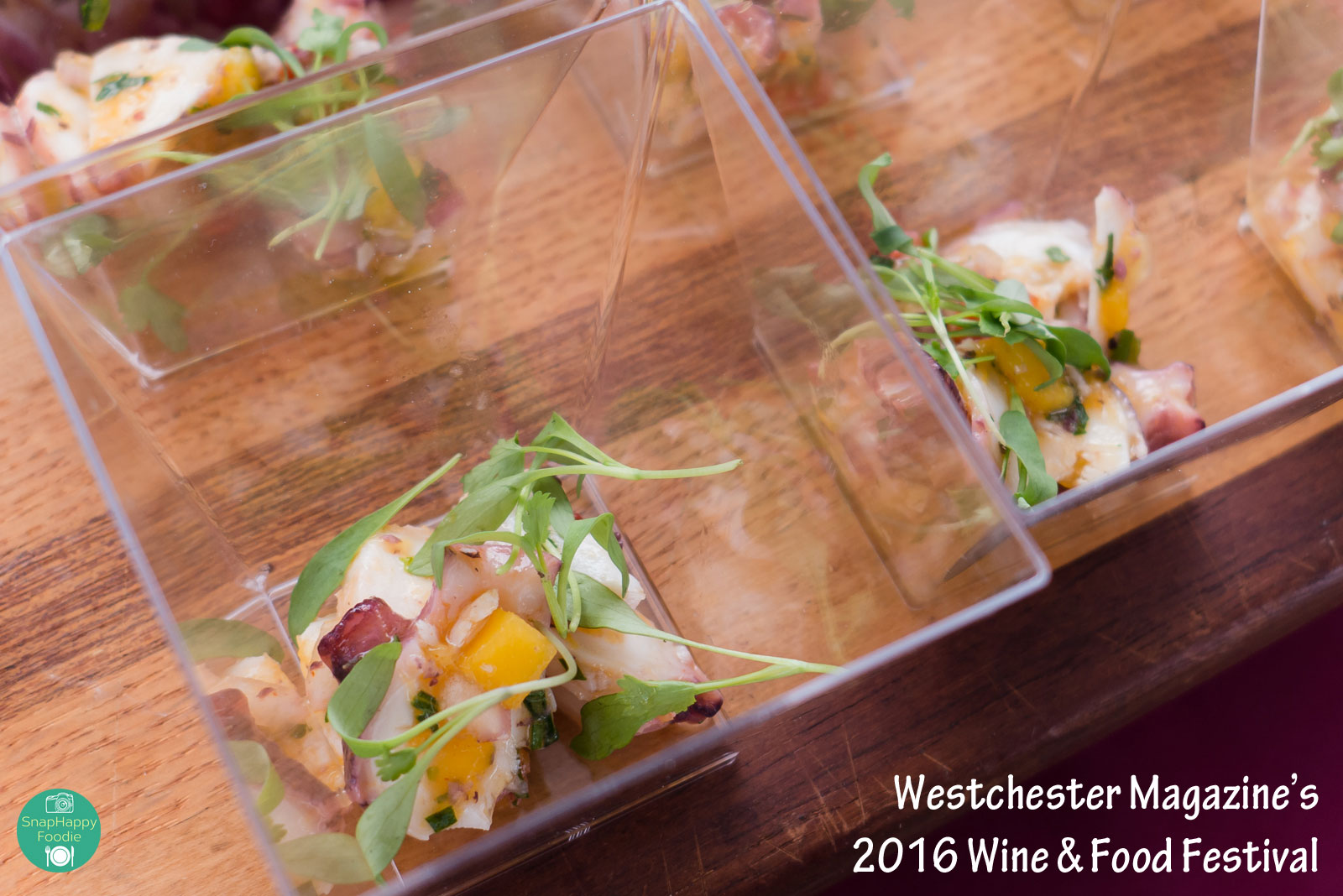 2016westchestermagwinefoodfest-19