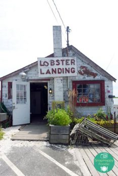 Eating Out: Lobster Landing | Clinton, CT