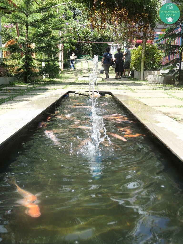 Fishpond at Queens Strawberry Farm | SnapHappy Foodie | www.snaphappyfoodie.com